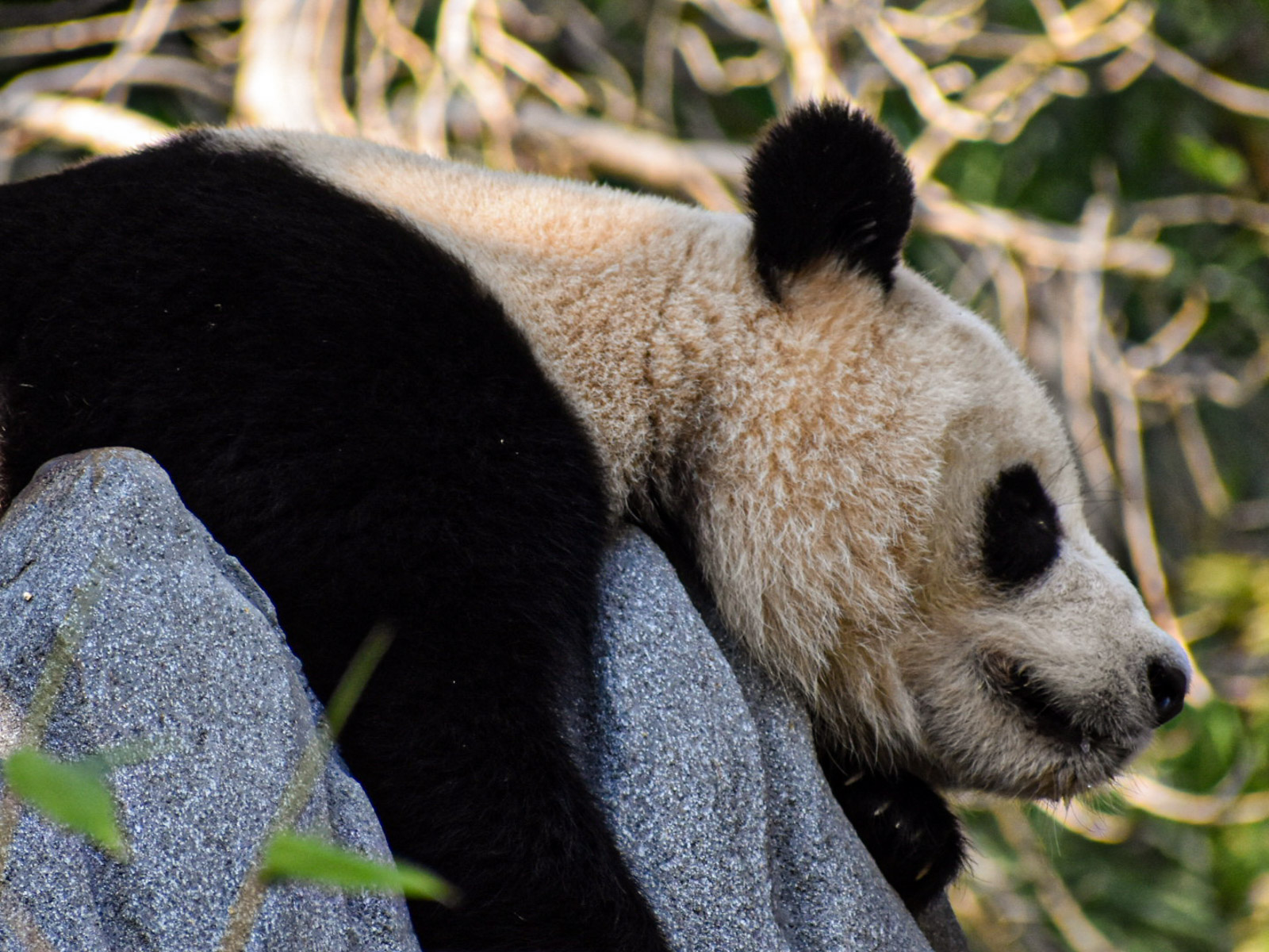 Wildlife photograph by Isaac Motl