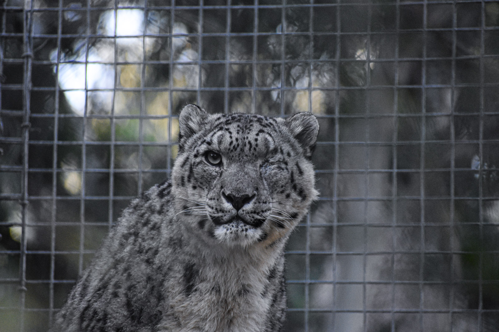 Wildlife photograph by Isaac Motl