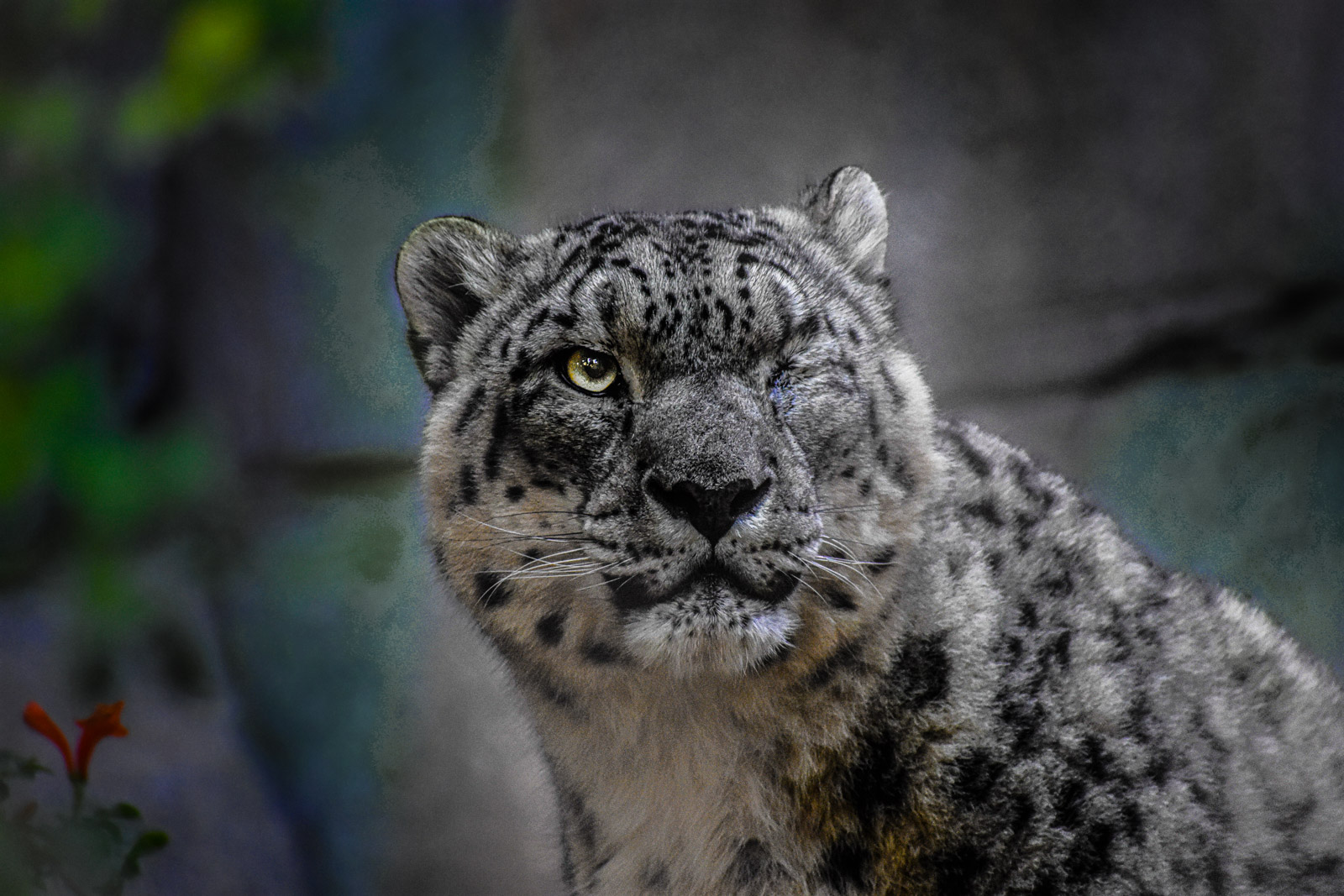 Wildlife photograph by Isaac Motl