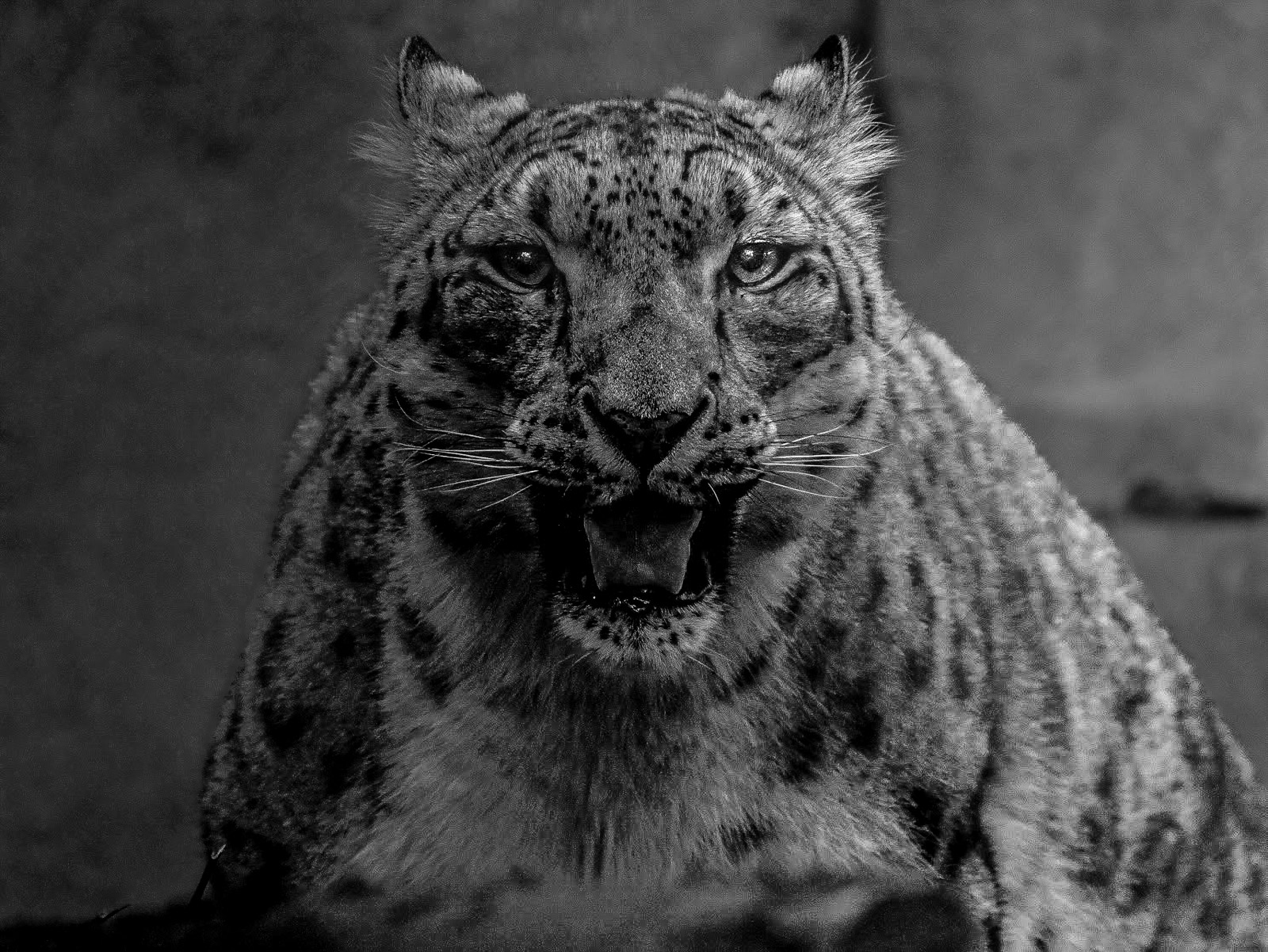 Wildlife photograph by Isaac Motl