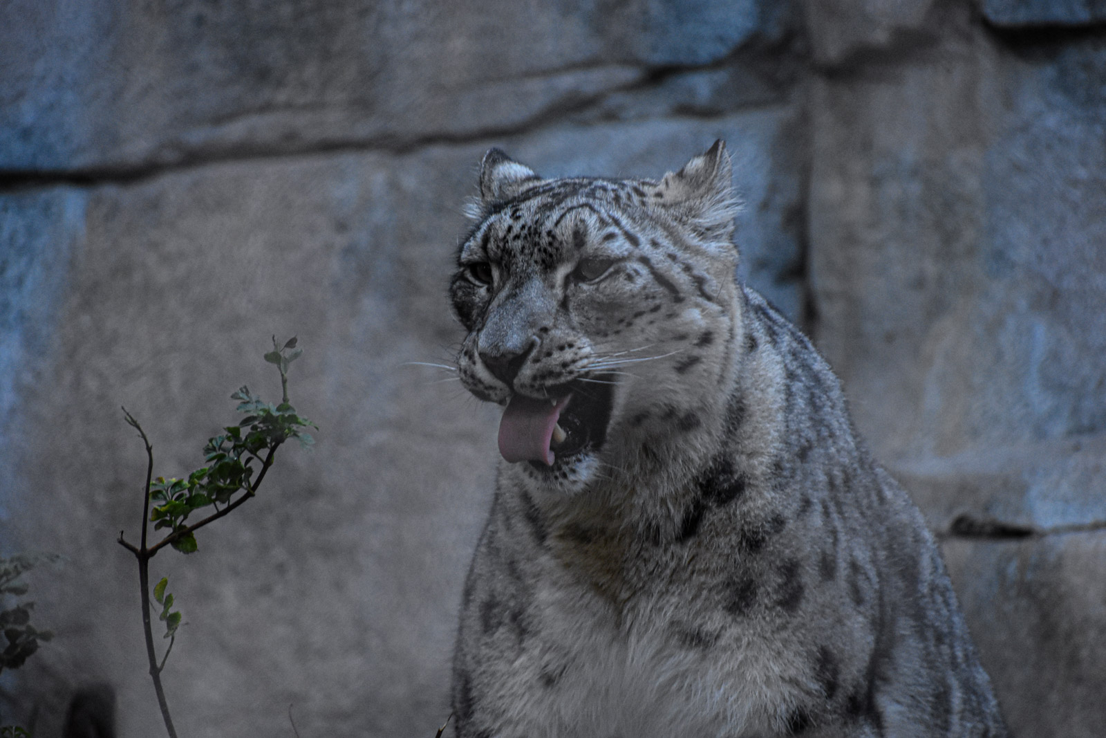 Wildlife photograph by Isaac Motl